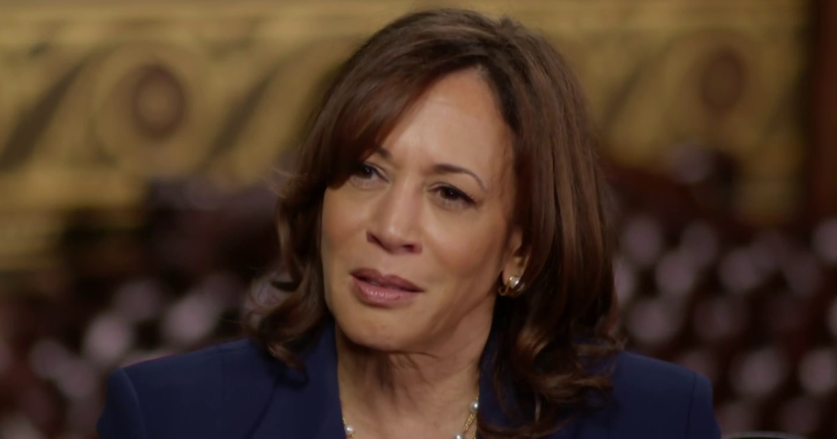 'Everything is at stake right now' VP Harris Addresses threats to