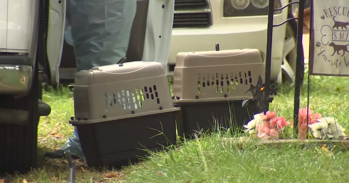 Two charged with animal cruelty after dozens of dead dogs found in New ...