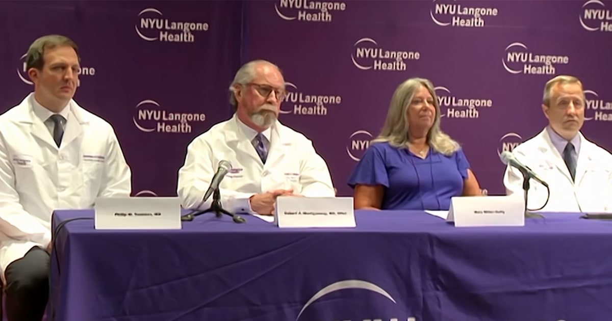 NYC doctors see success in pig kidney transplanted into braindead man