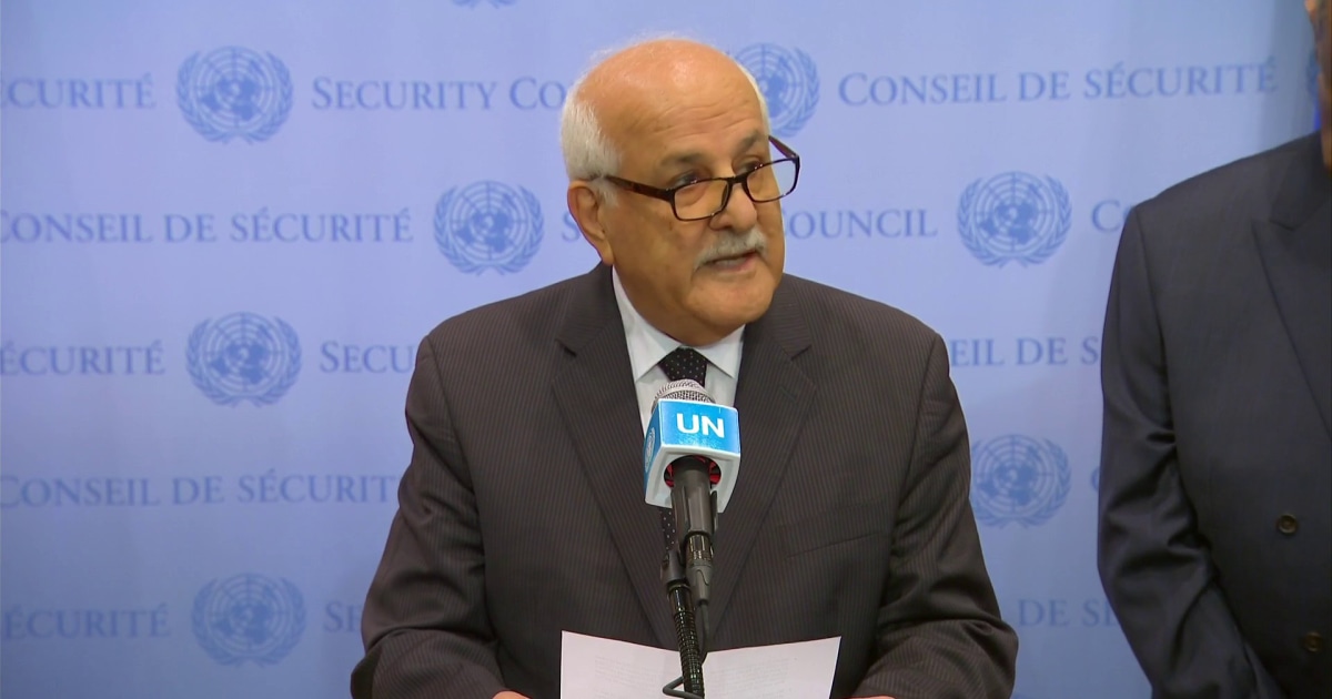 Palestinian representative to the UN addresses Hamas attack in Israel