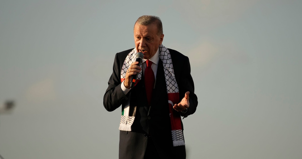 Erdogan slams Israel as ‘war criminal’ at pro-Palestinian rally
