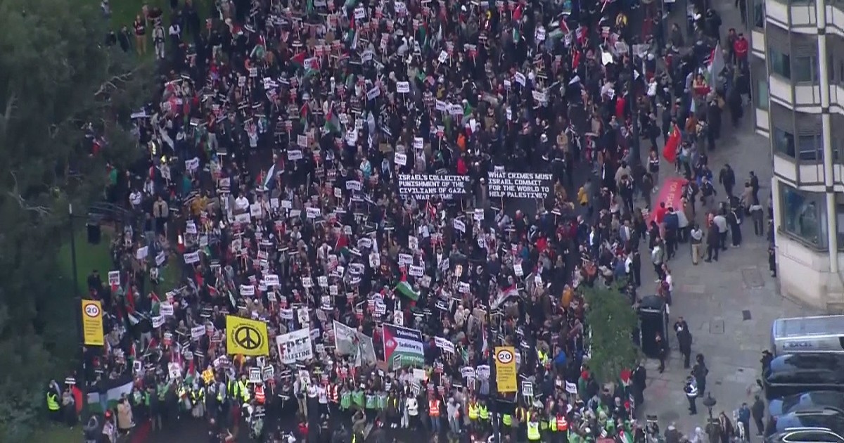 Thousands protest Israeli actions in Gaza at pro-Palestinian rally in