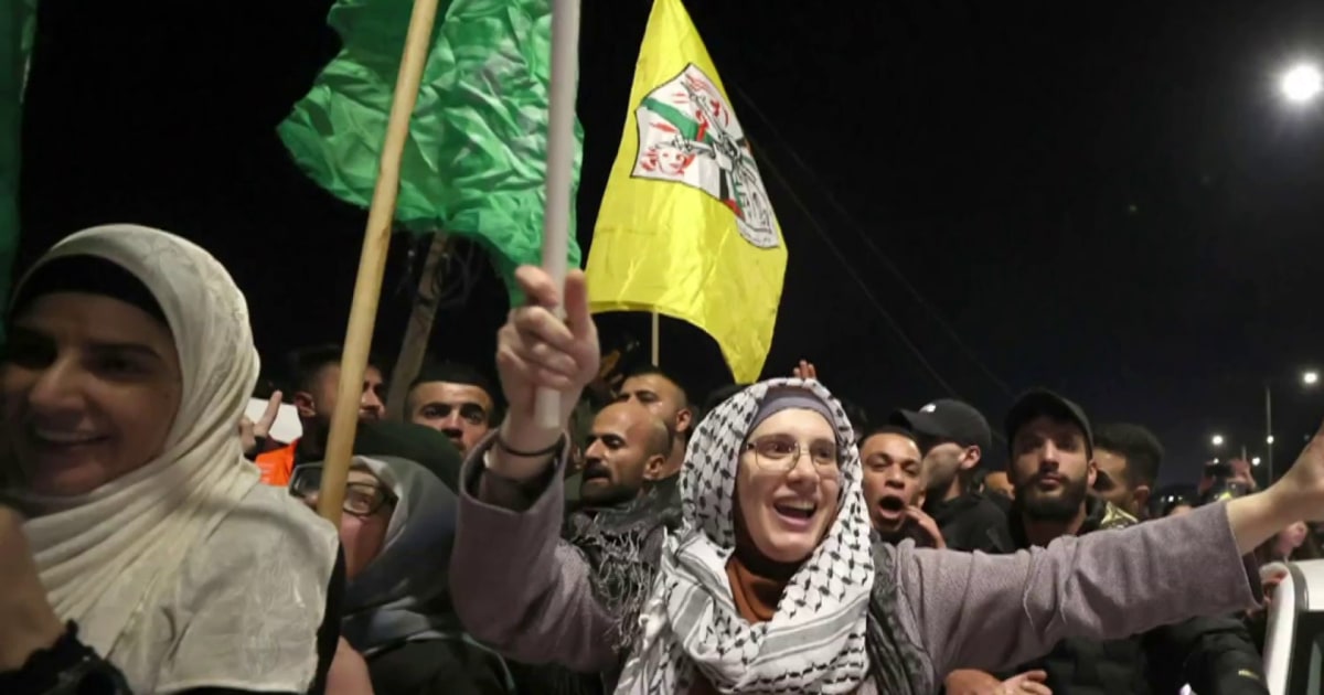 'It's a joyous moment...' David Rohde reacts to the Israeli hostages reuniting with their families