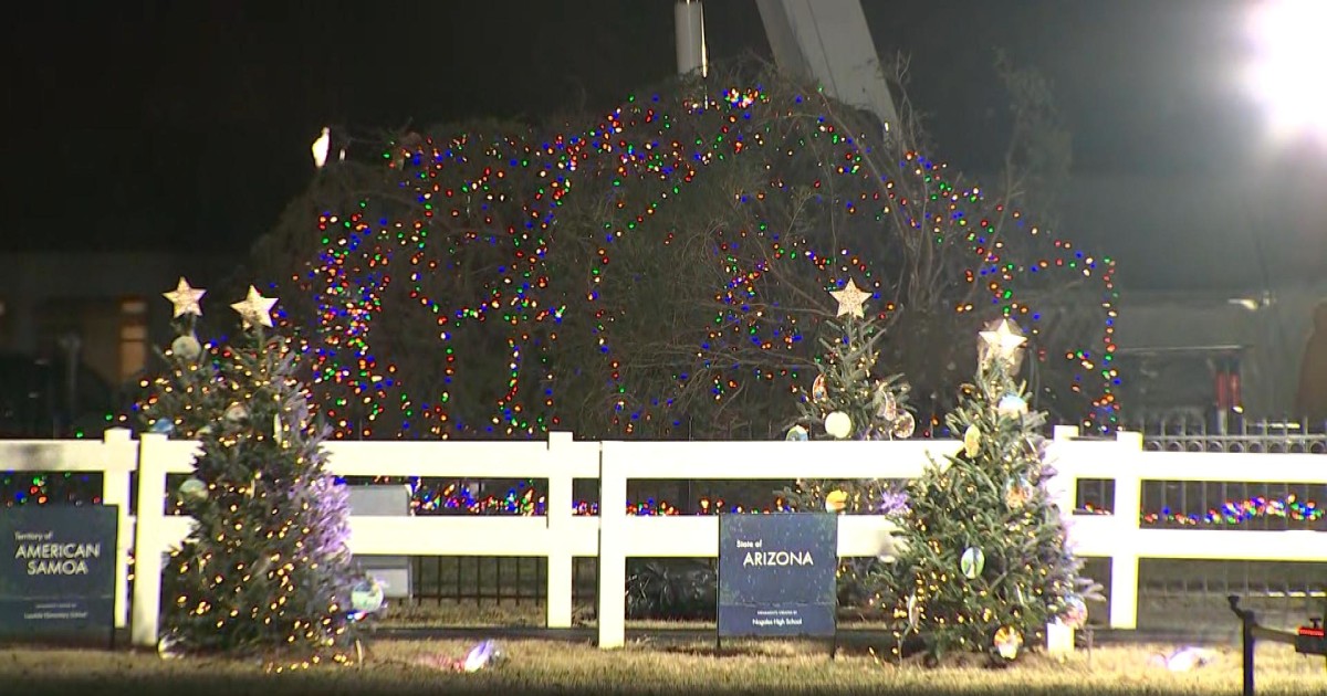 National Christmas Tree topples over amid strong winds in D.C.