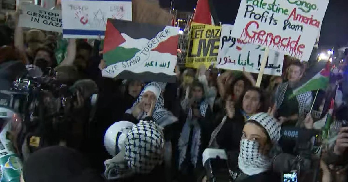 Pro-Palestinian demonstrators rally in Washington, D.C.