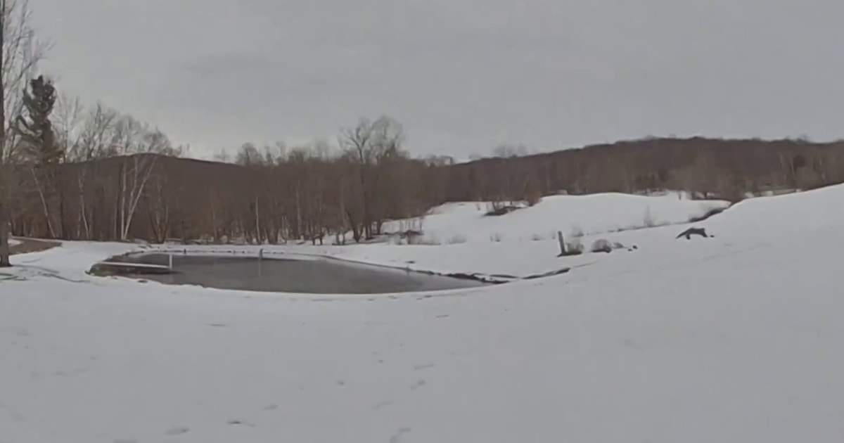 Video shows Vermont state troopers rescue a child from frozen pond