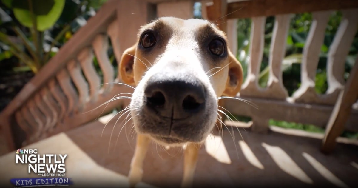 Nightly News: Kids Edition (Jan 18 2024)