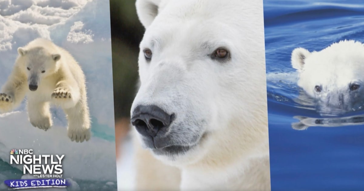 Nightly News: Kids Edition (Jan 25 2024)