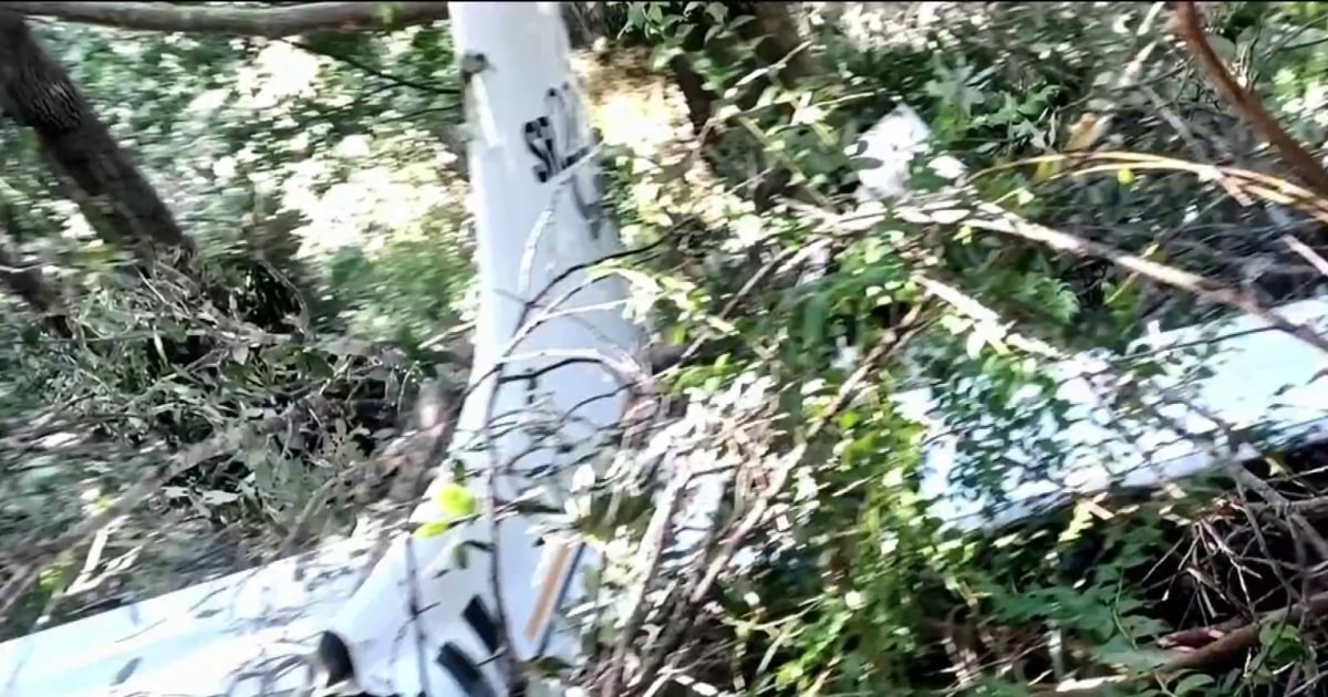California family survives small plane crash after deploying plane parachute
