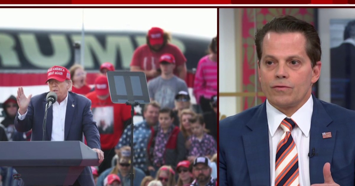 Anthony Scaramucci: Trump will hurt anybody, anything in his way - Vimarsana News