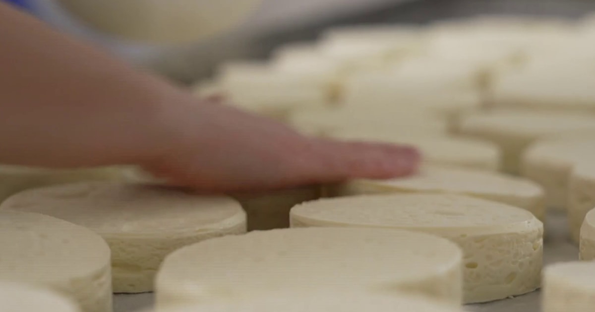 Brown Spots On Mozzarella Cheese Reliable Reputation www.metaltecnica