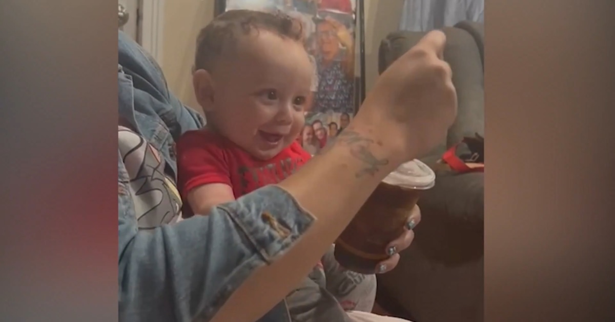 Connecticut one-year-old dies after attack by family dog