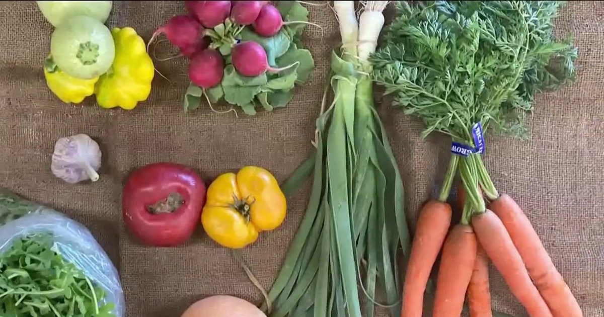 Fresh produce program helps promote better health in food-insecure ...