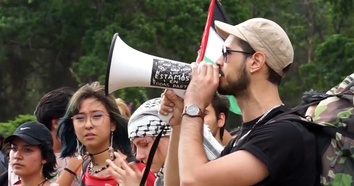 Des étudiants du monde entier protestent contre la guerre à Gaza