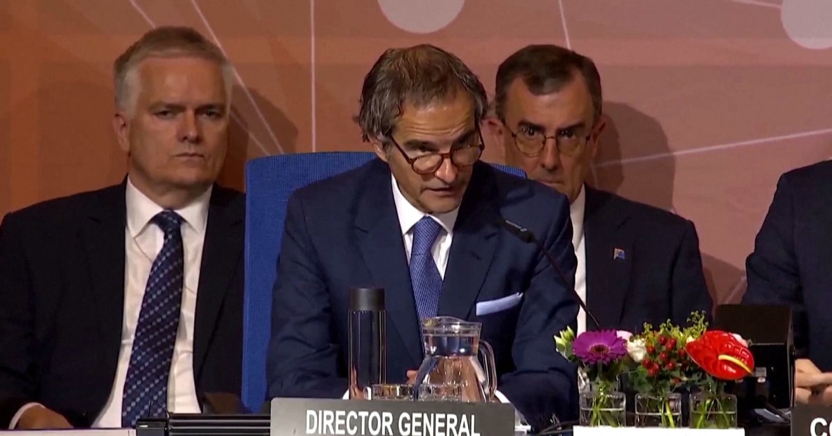 IAEA chief leads minute's silence for victims of Iran  helicopter crash