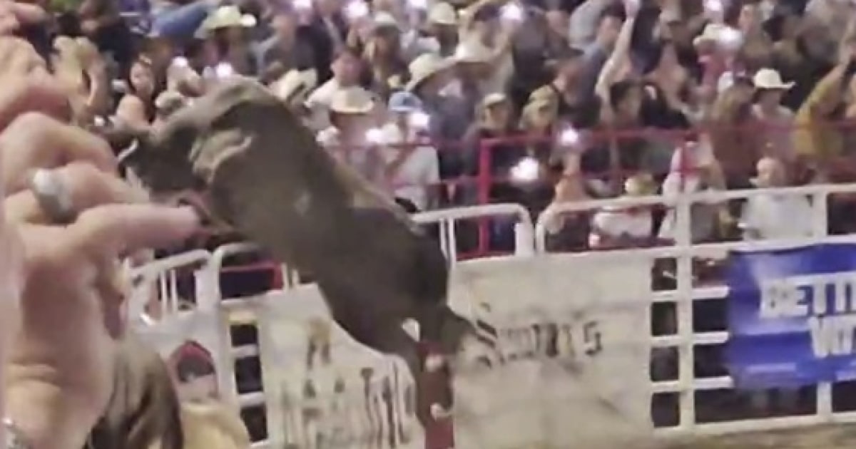 'Terrifying' Multiple injured after bull jumps into crowd at Oregon rodeo