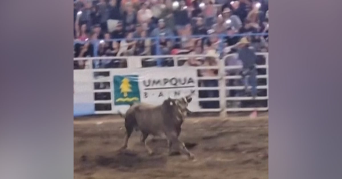 Bull jumps out of Oregon arena into crowd injuring three