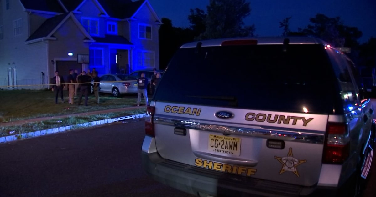 New Jersey mother accused of murdering her children appears in court