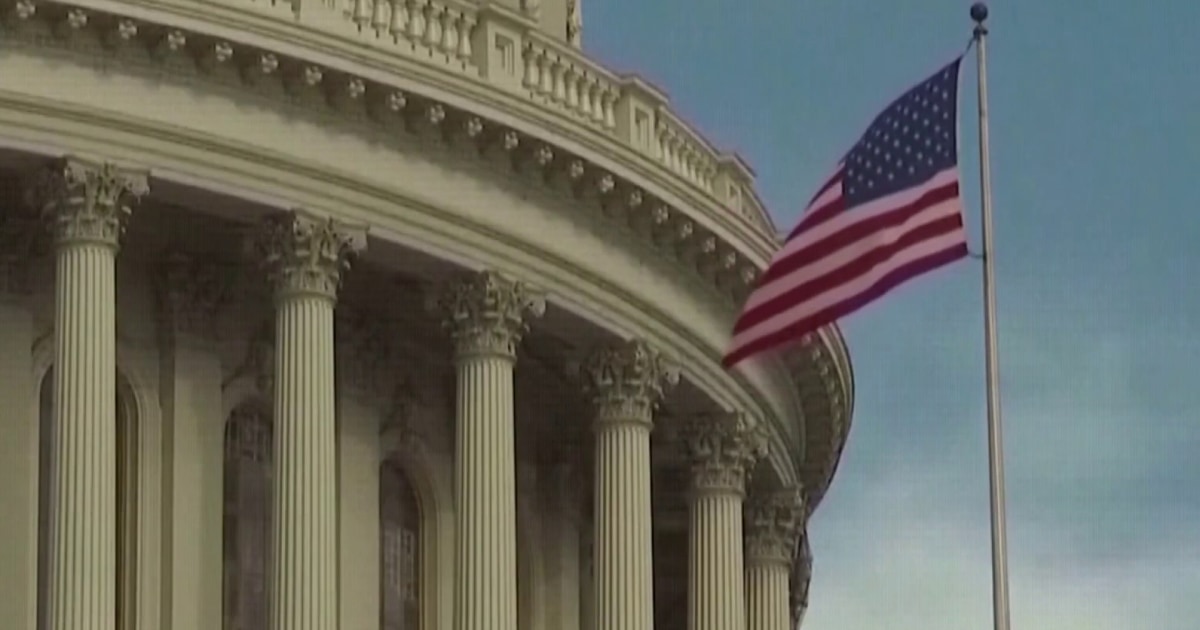 Immigrants share their opinion of what America means to them