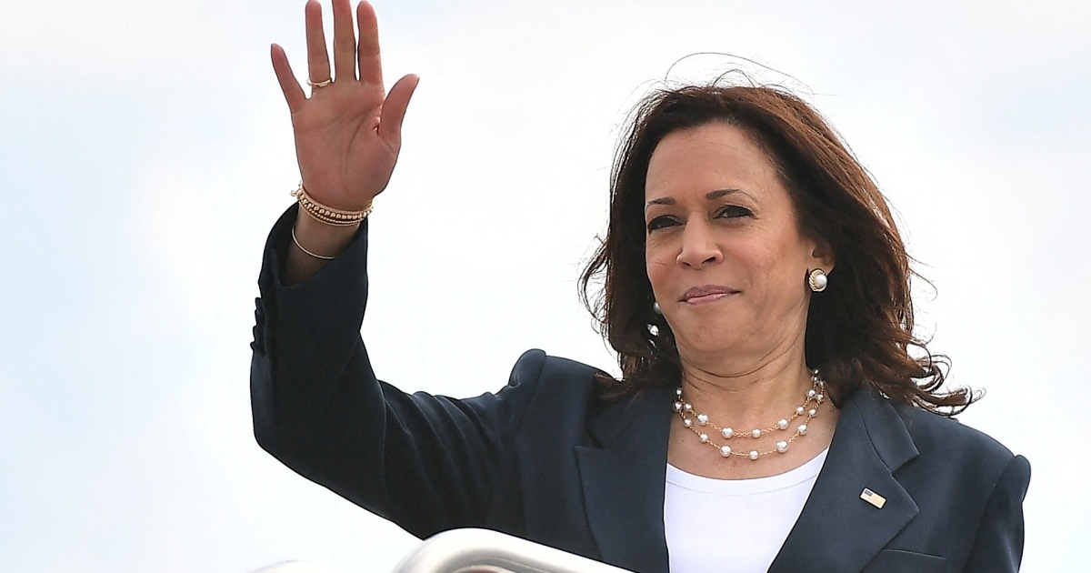 As Biden steps aside and Harris ascends, what happens next?