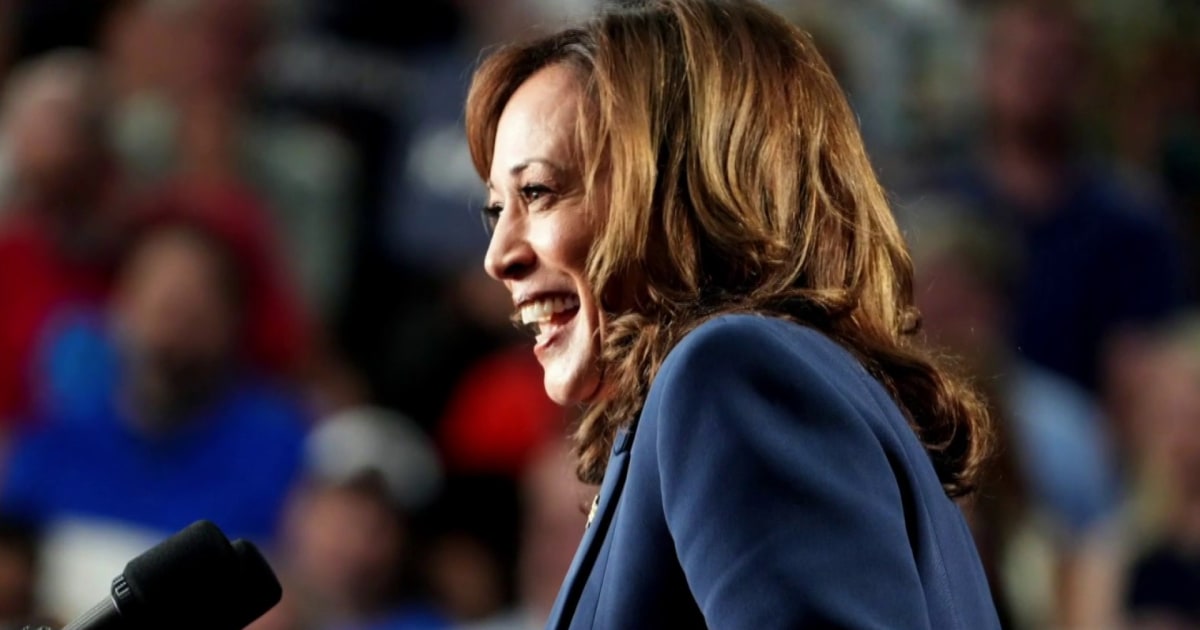 Harris hits campaign trail as Biden returns to White House