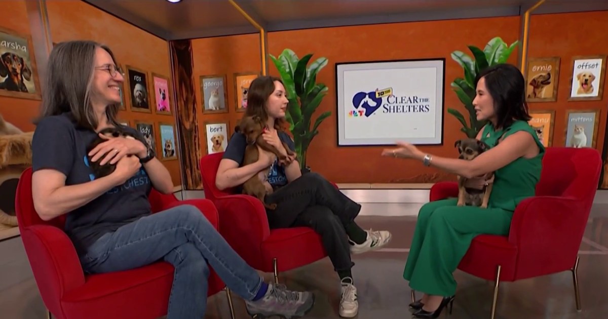 NBCUniversal Local 'Clear the Shelters' campaign begins