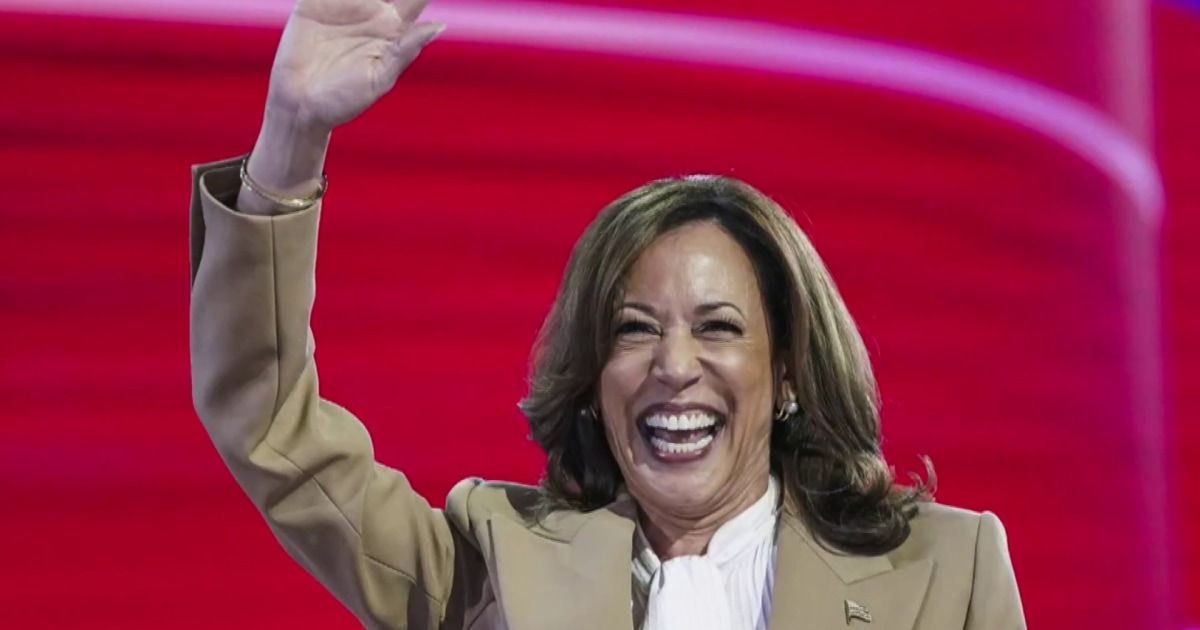 Democratic panel to decide 2028 primary order this week