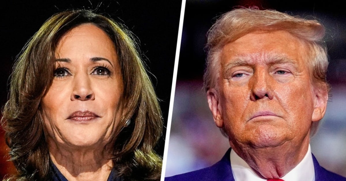 'Same old tired playbook': Harris brushes off Trump's race remarks