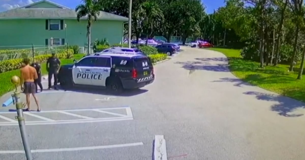 Florida officer fired after video shows her pulling a gun wins back job