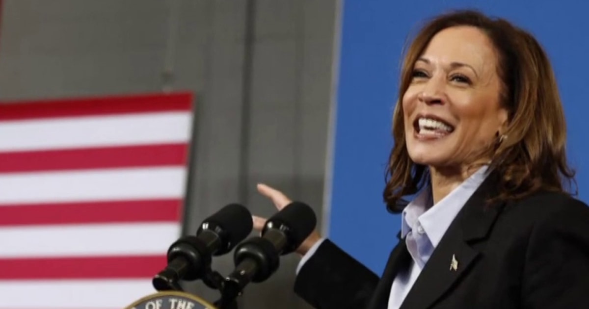 ‘She’s putting in the work, Trump is sitting at his golf course’: VP Harris hits swing states hard