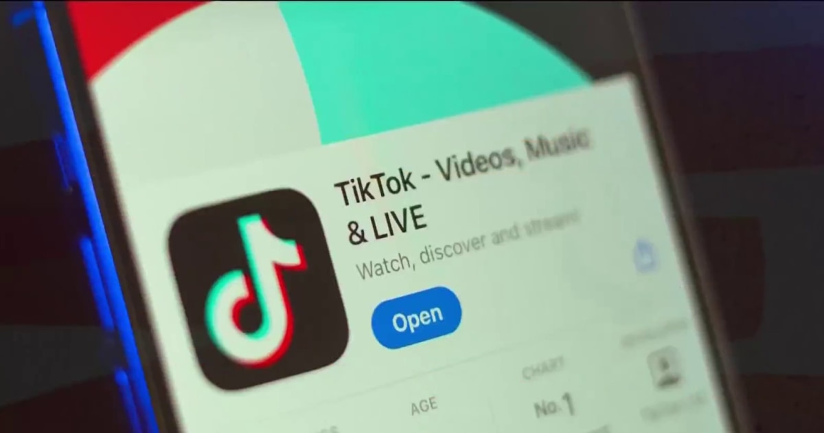 米国でのTikTok禁止は実際何を意味するのでしょうか？