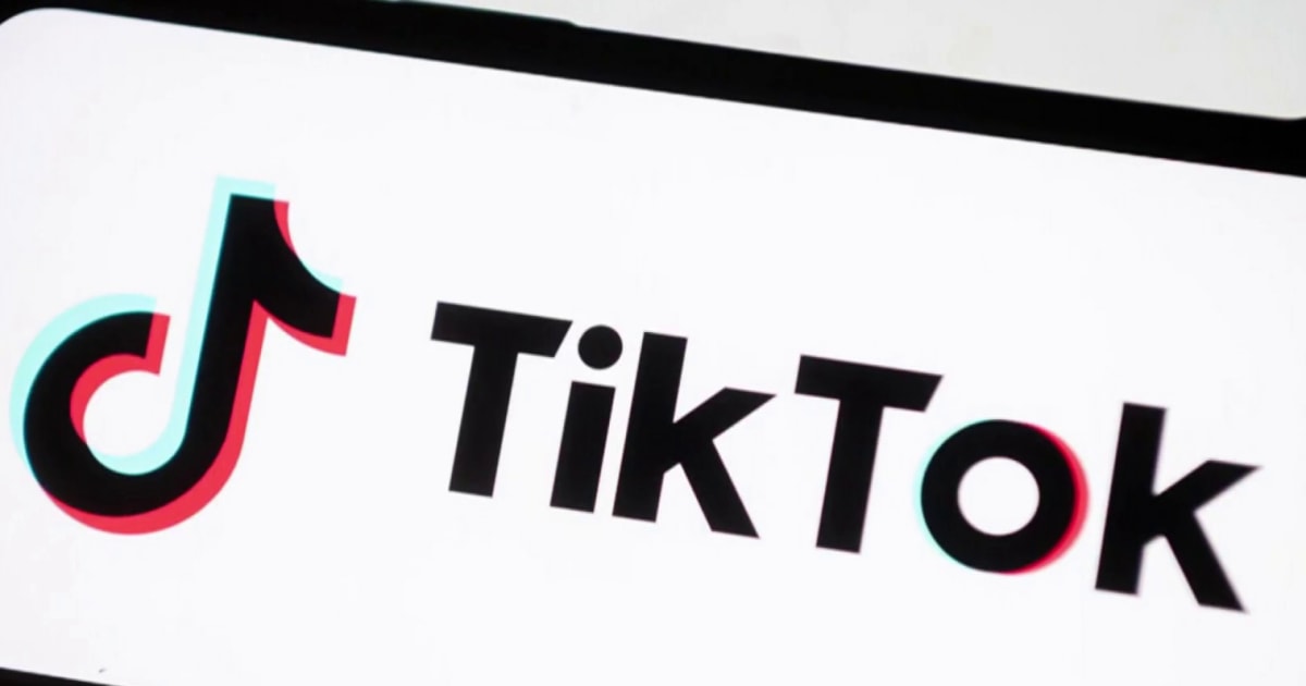 TikTok fights law that could ban app in U.S. in crucial hearing