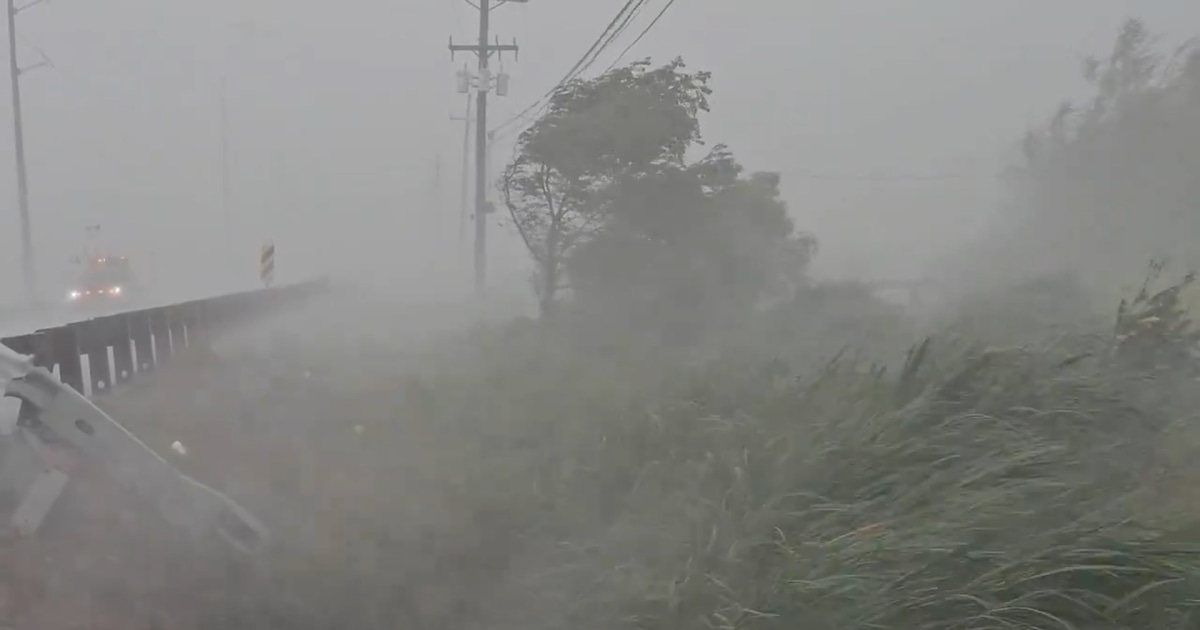 Videos show Francine's influence on Louisiana