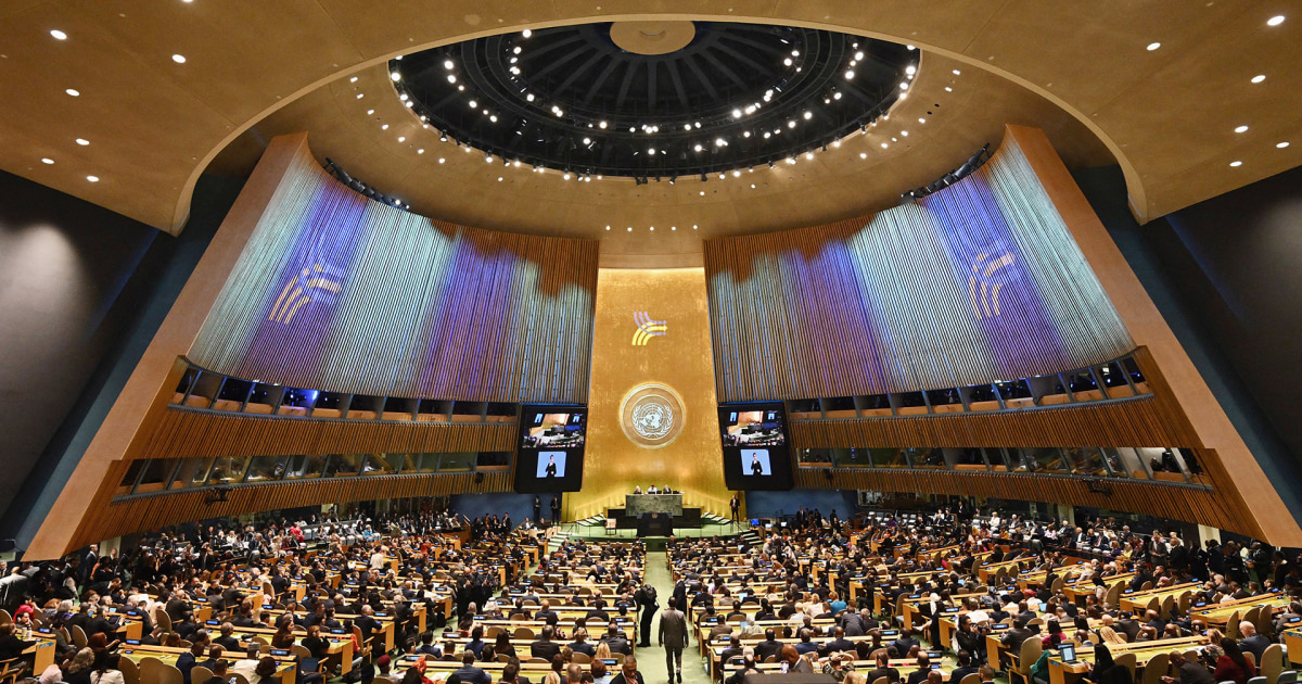 2024 United Nations General Assembly