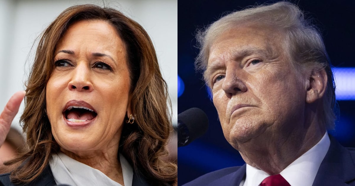 When will election results come in? Report says we may not know