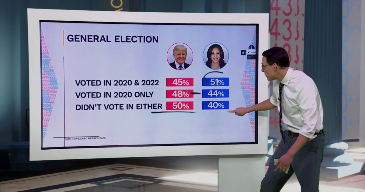 Steve Kornacki: The persuadable voters Trump and Harris are trying to win over