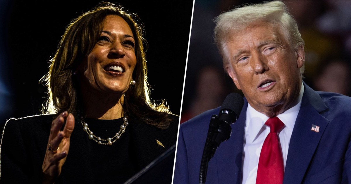 Trump and Harris make their final rally pitch in battleground states
