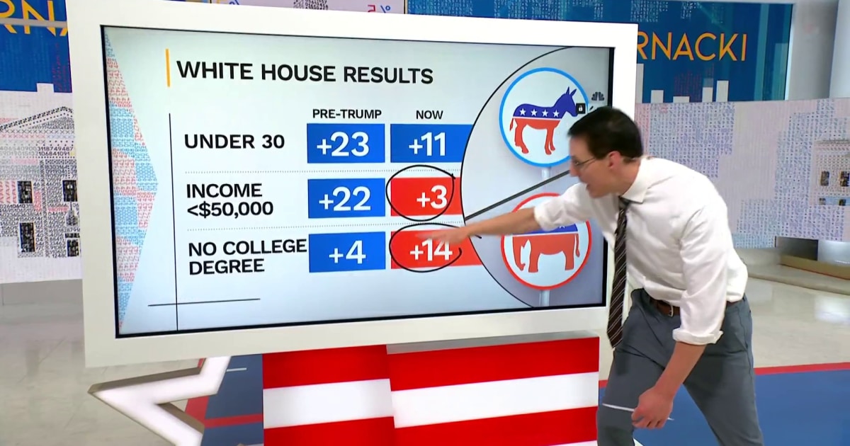 Republican Party is now 'more diverse' than it's been in modern times