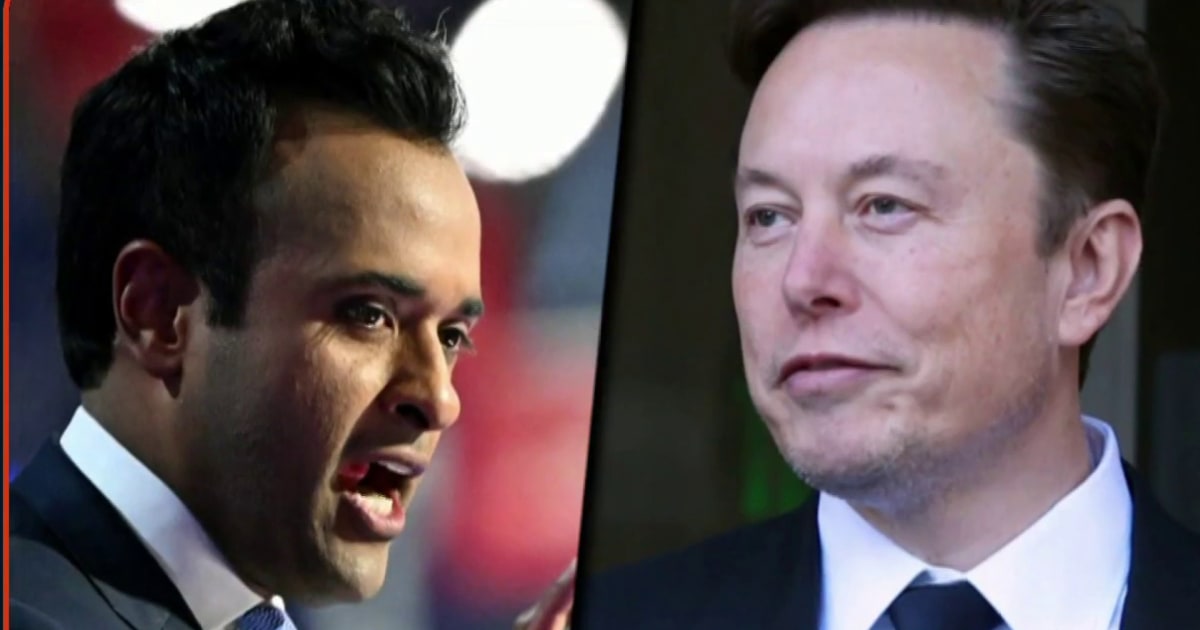 Trump taps Elon Musk, Vivek Ramaswamy to lead department of government efficiency