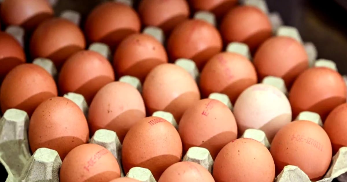 Nationwide egg shortage ahead of Thanksgiving