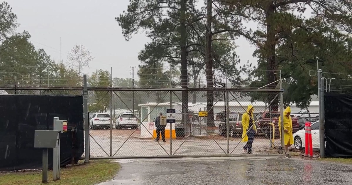 25 monkeys recovered safely, 18 remain missing from South Carolina lab