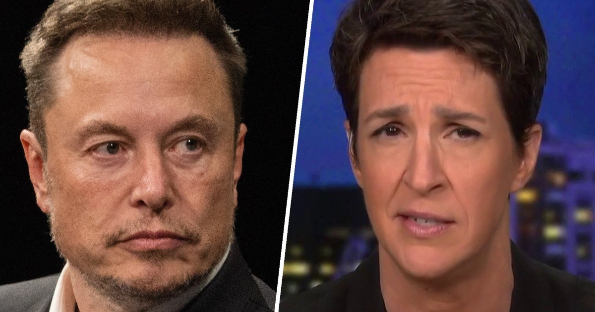 New reporting on Musk's minions makes his government takeover team look even worse