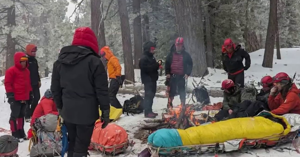California hikers survive two nights in wilderness after falling off a ...