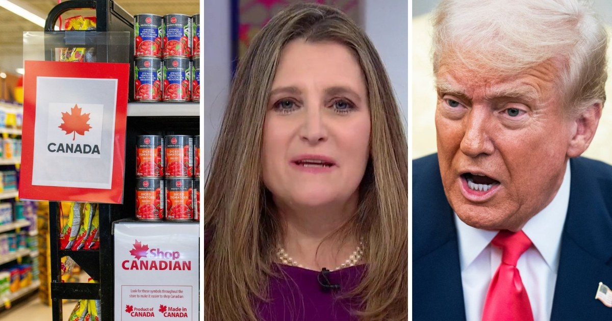 'These tariffs are just dumb': Former Canadian Deputy prime minister