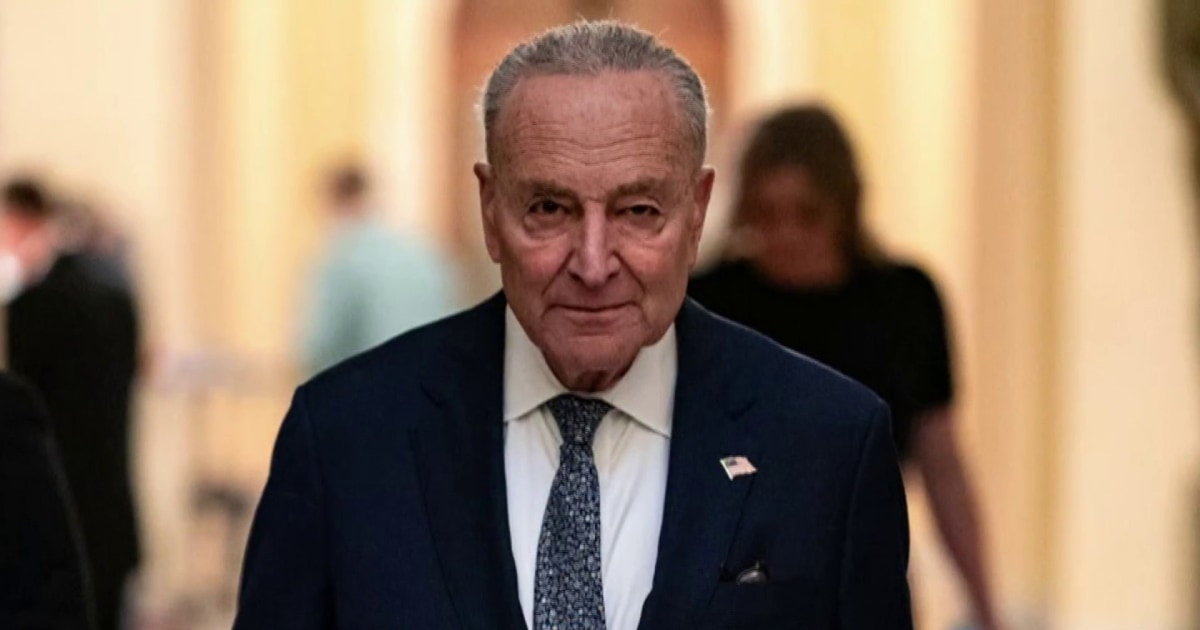 Schumer faces growing pressure as Democrats chart path to take on Trump