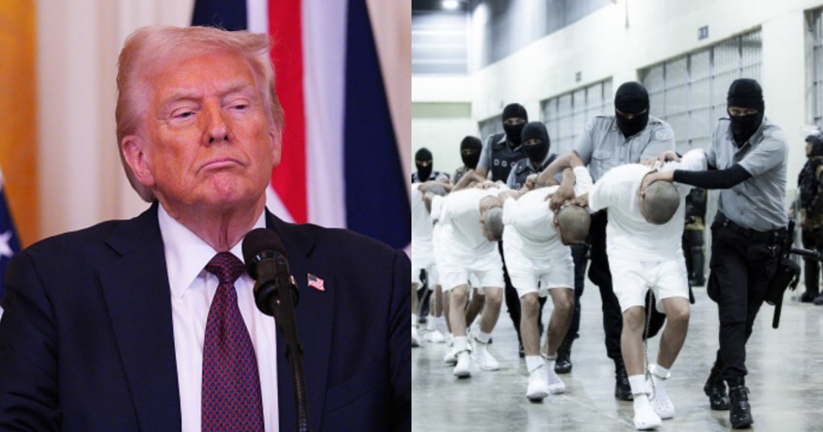 'Nazis got better treatment': Judge shreds Trump DOJ as legal losses pile up