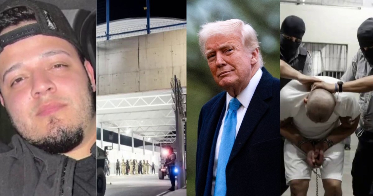'Is there shock?' Mika argues why we should be outraged by those mistakenly deported