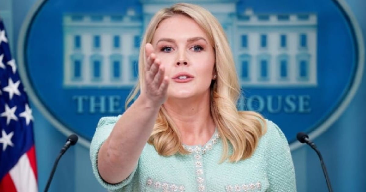 Chris Jansing Reports - cover