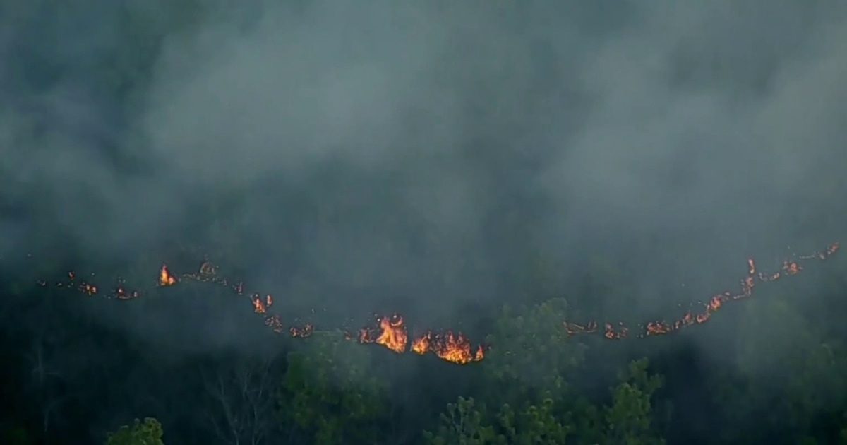 New Jersey teen charged in wildfire that forced 5,000 to evacuate New Jersey teen charged in wildfire that forced 5,000 to evacuate