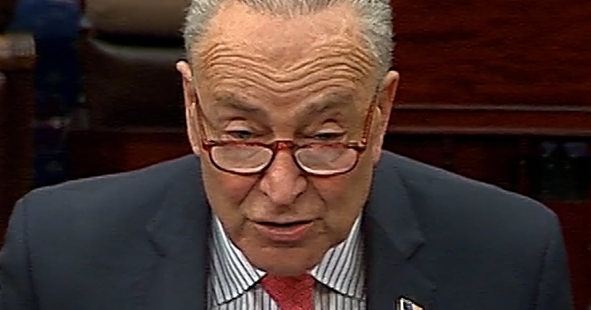Schumer: “Trump's first 100 days have been defined by one big F word"